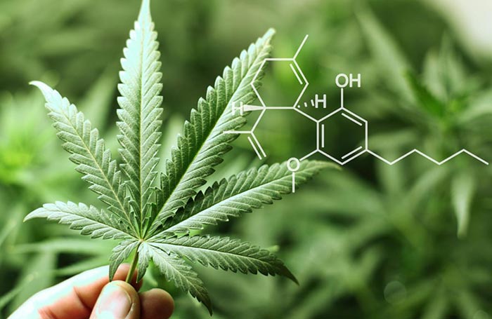 9 Benefits Of CBD Oil